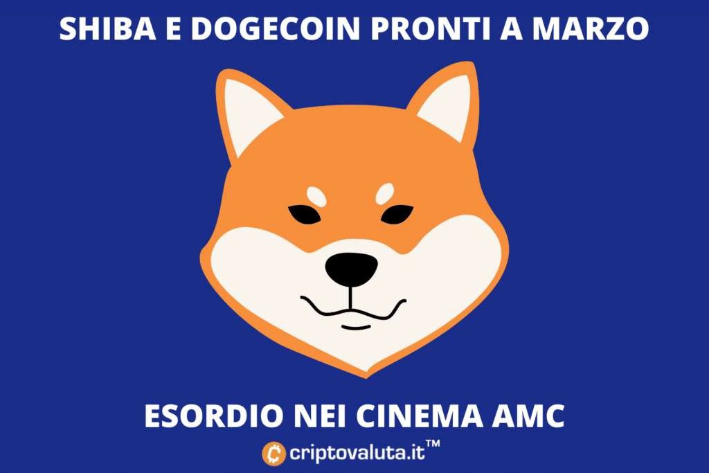 Shiba e Dogecoin per AMC