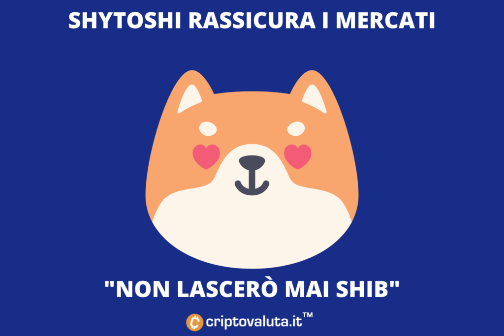 Shytoshi declara amor verdadero por SHIB - no se rendirá