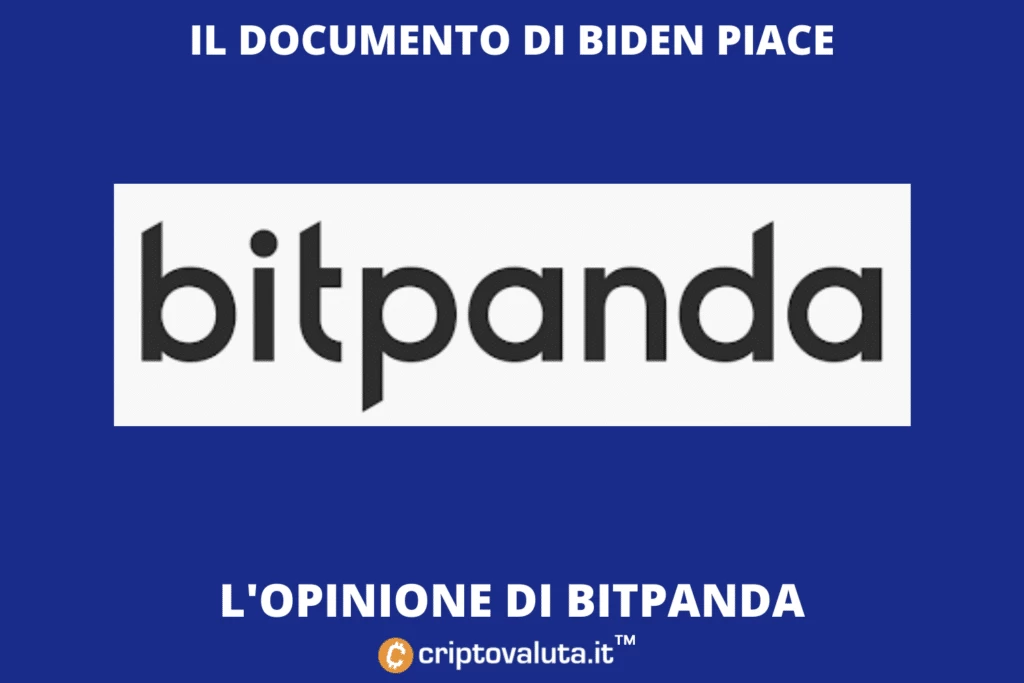 BitPanda country manager italiano - ecco come e perché