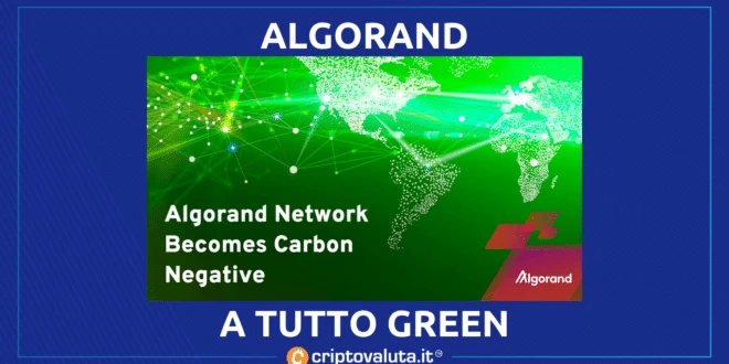 Algorand contro Bitcoin