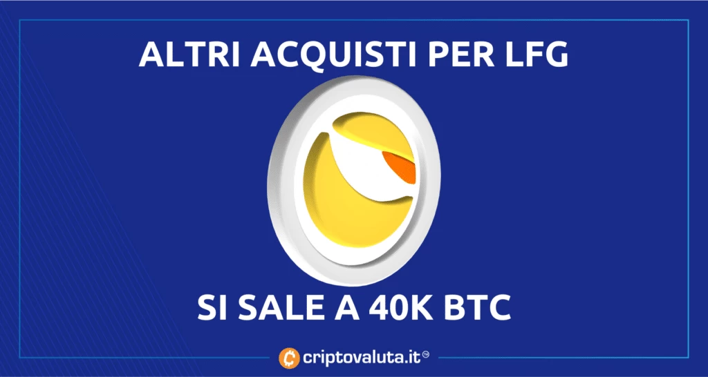 LFG acquisti BItcoin domenica