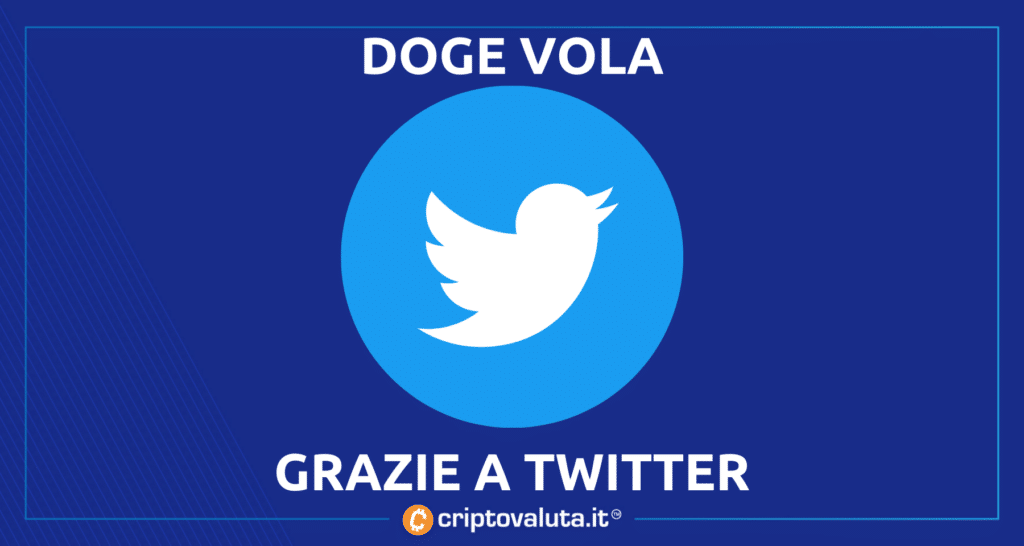 Doge, Musk e Twitter - come