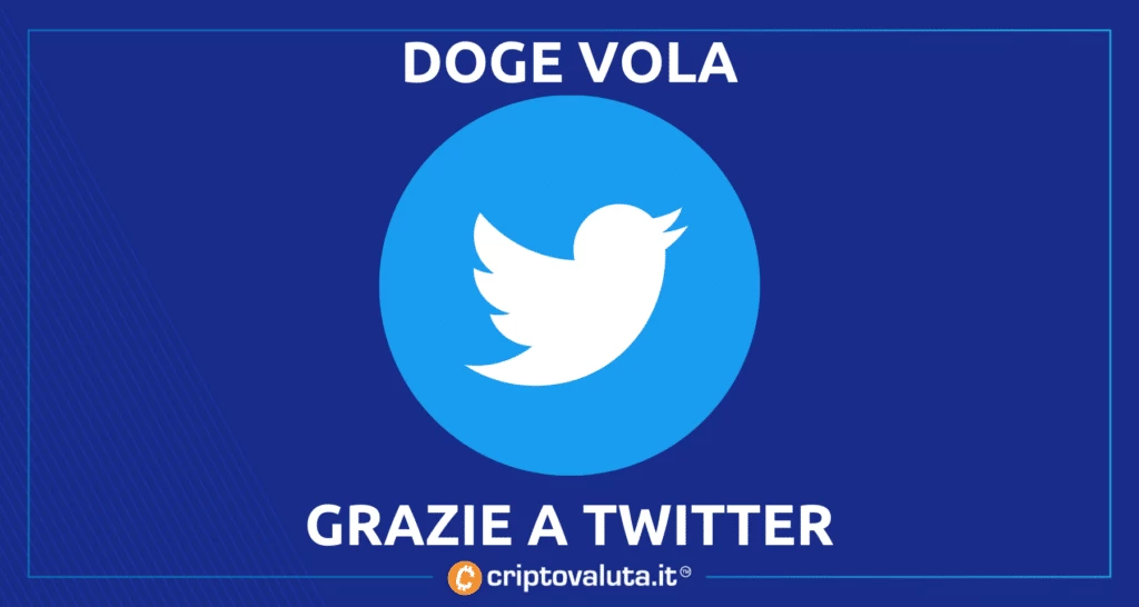 Doge, Musk e Twitter - come 