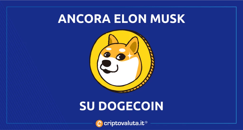 Twitter Dogecoin e Elon Musk - analisi di Criptovaluta.it