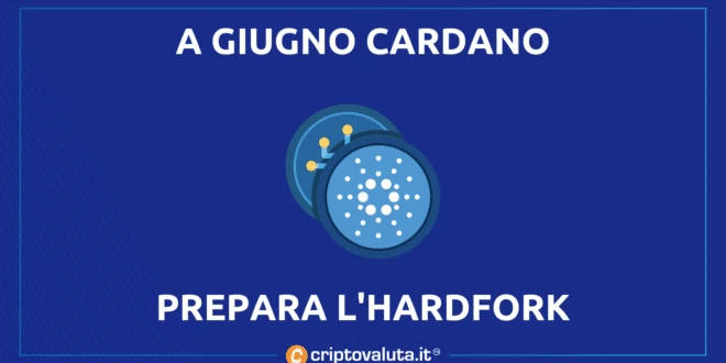 Cardano Vasil online