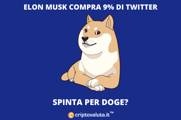 $DOGE su Twitter con Musk?