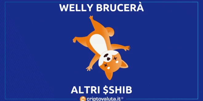 Welly Shib analisi