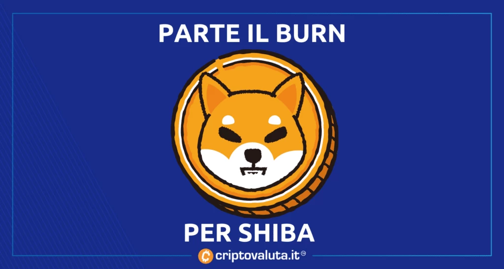 Portale di Burn Shiba Inu 