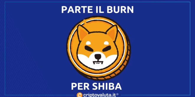 Shiba lancia burn