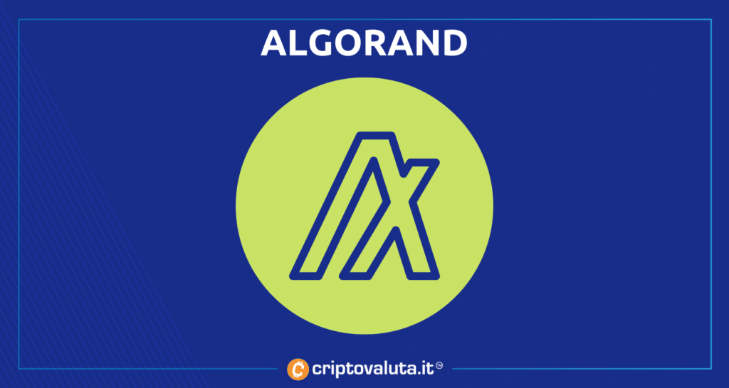 Algorand - guida completa di Criptovaluta.it
