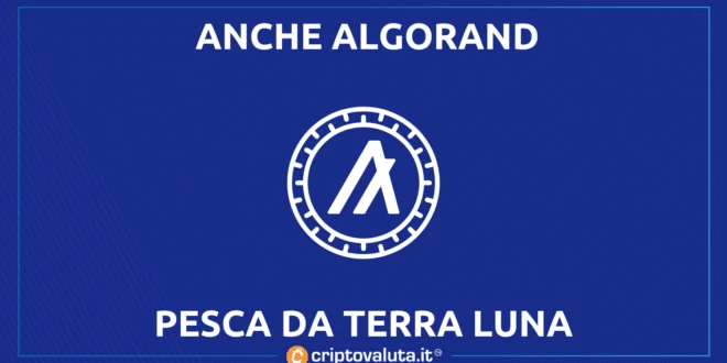 NFT ALGORAND DA TERRA LUNA