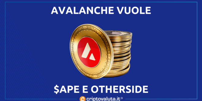 avalanche attacca bayc