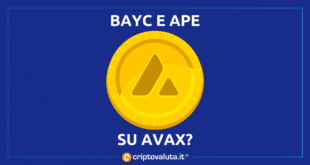 BAYC AVAXX