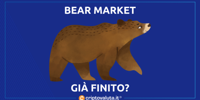 Cathie wood analisi bear market