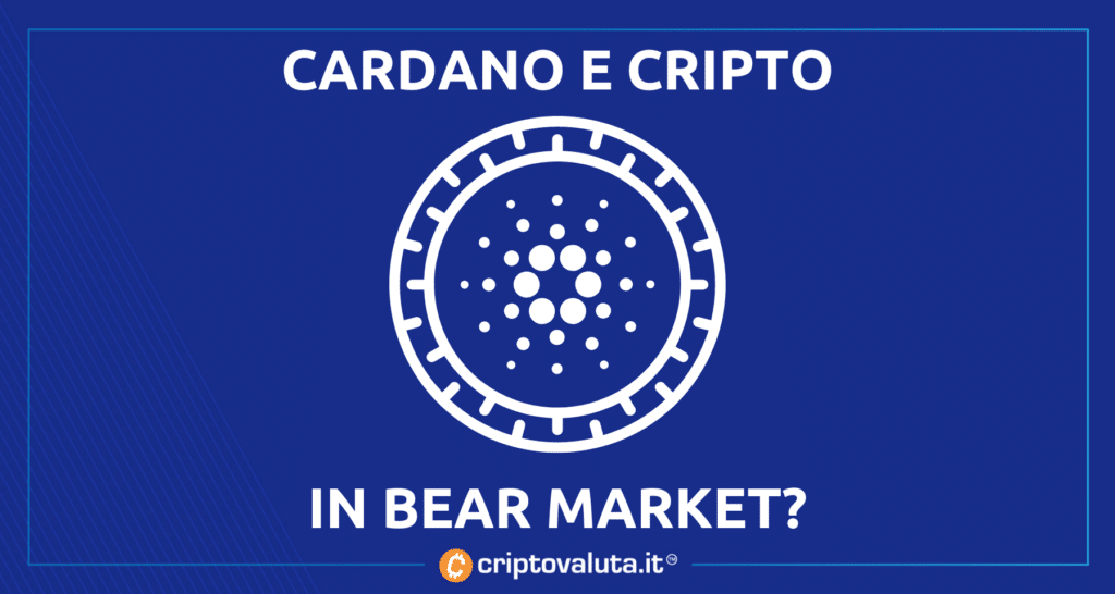 Charles Hoskinson Bear Cryptocurrency Market
