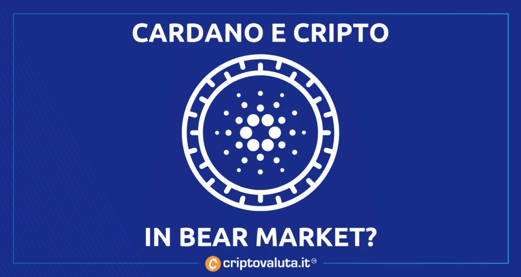 Charles Hoskinson Bear market per le cripto