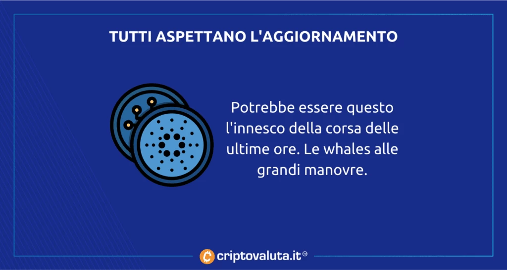 Cardano corre sul mercato