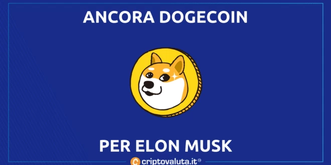 Dogecoin Space X