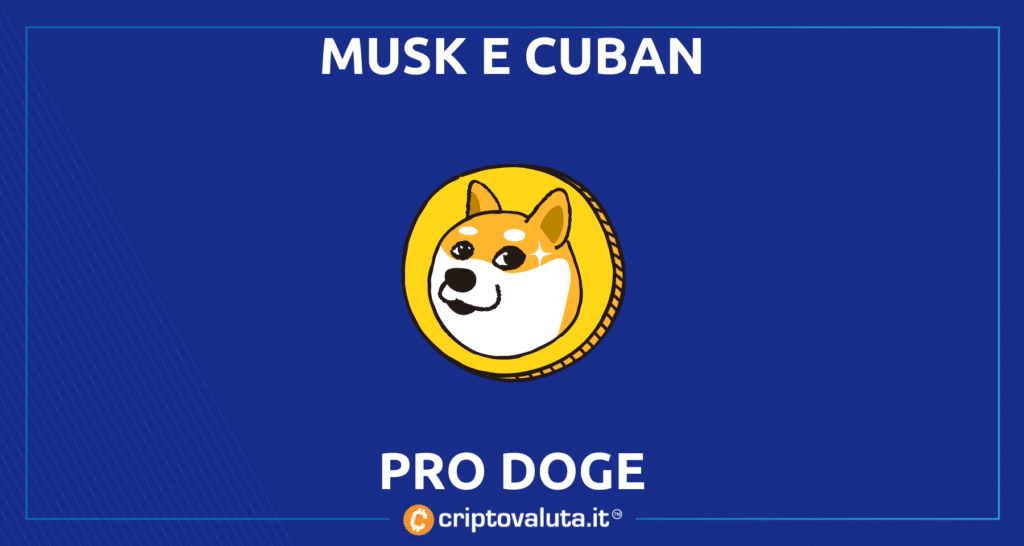 Musk Cuban Doge - twitter spam