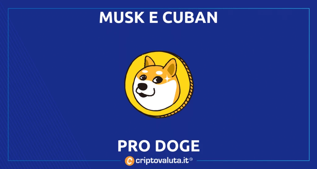 Musk Cuban Doge - twitter spam