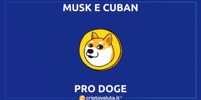 Musk Cuban Twitter Spam