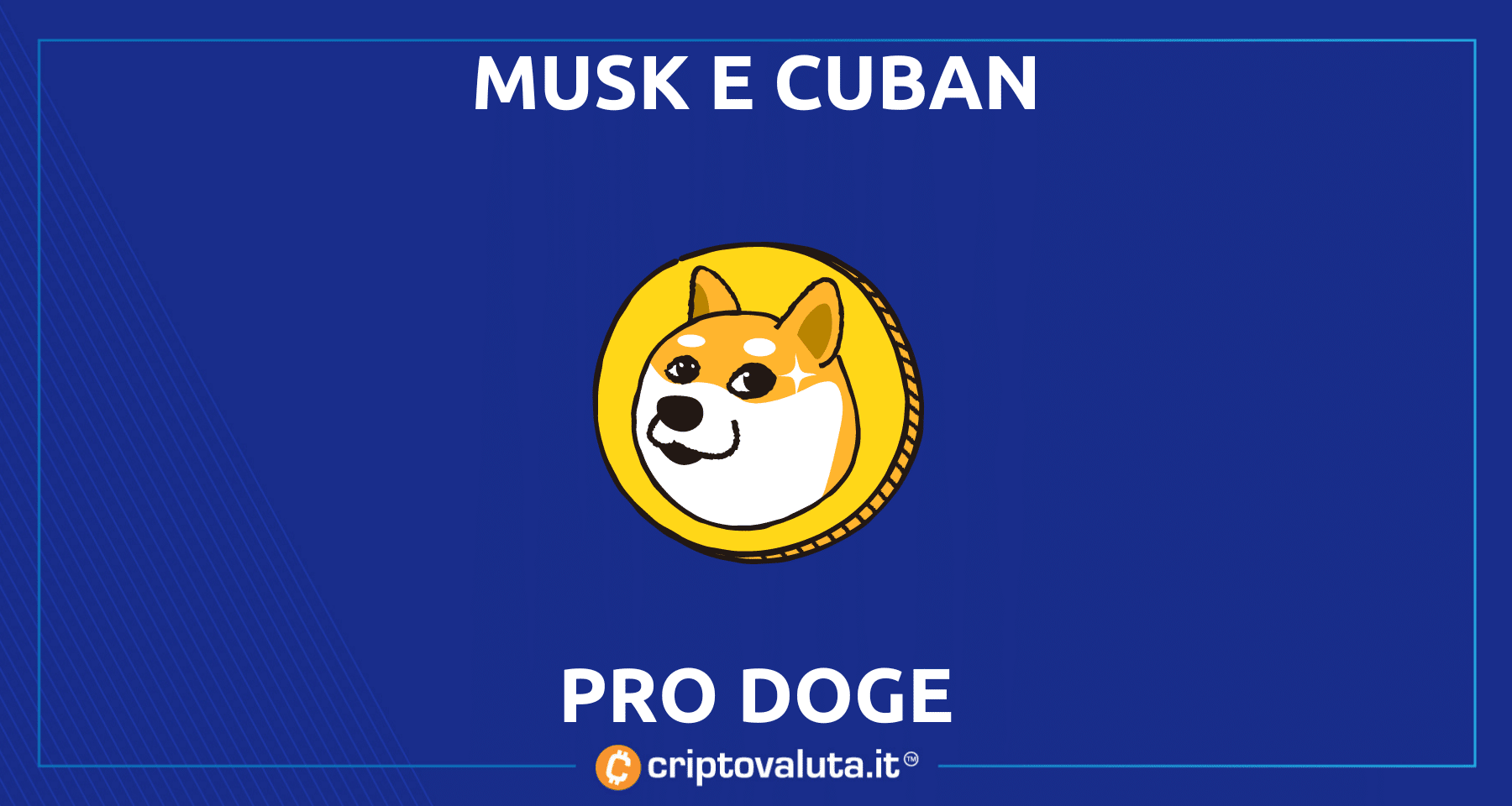 Mark Cuban e Elon Musk vogliono Dogecoin | I $DOGE per combattere lo spam Twitter