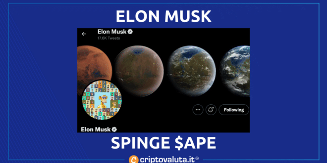 Elon Musk APe