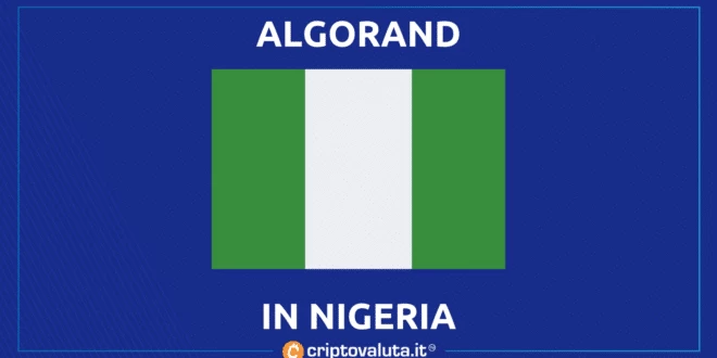 nigeria algorand