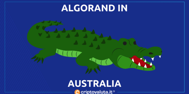 Algorand Australia NFT