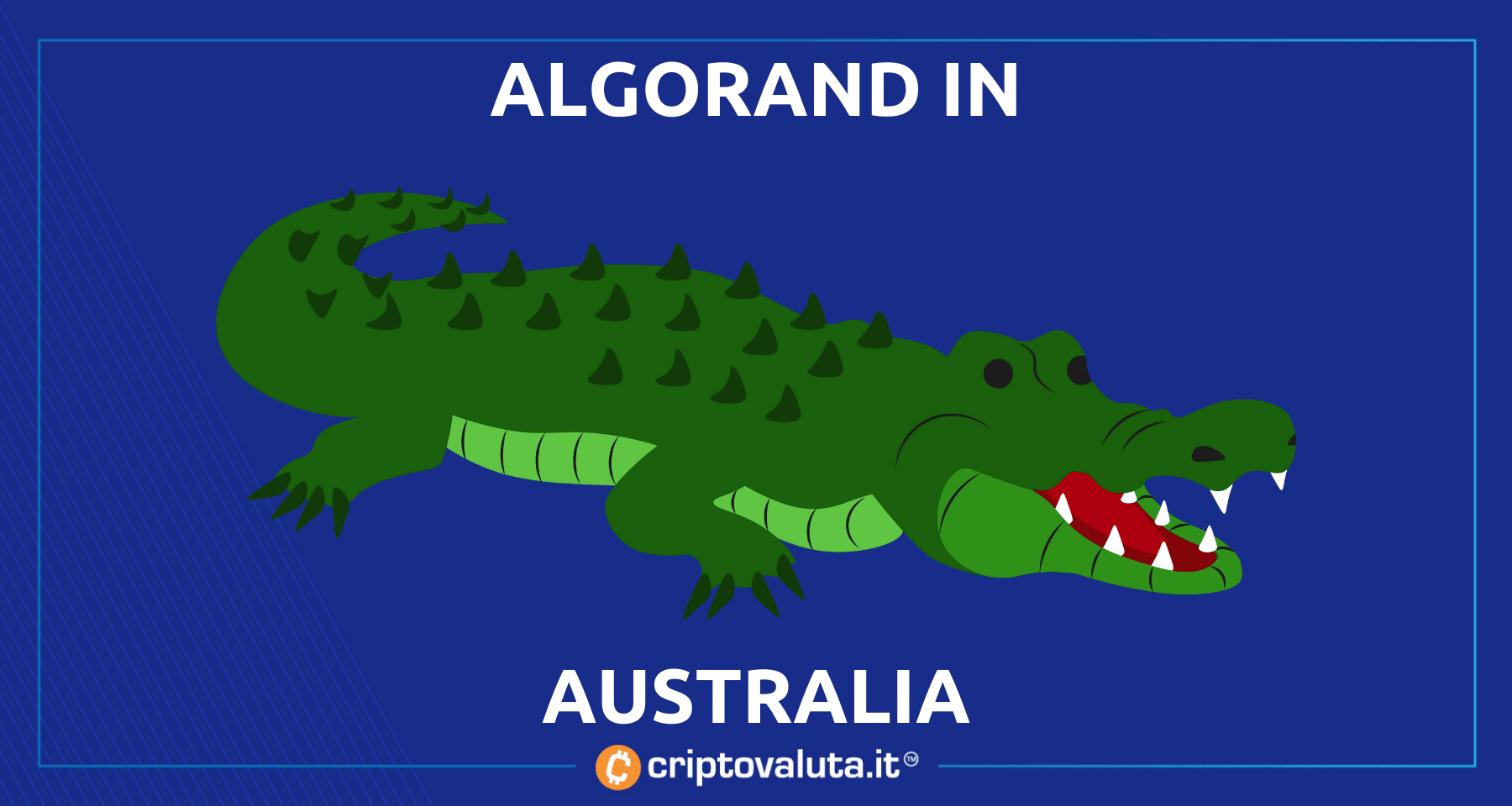 Algorand insieme a Wildlife Warriors! | NFT per la fauna australiana