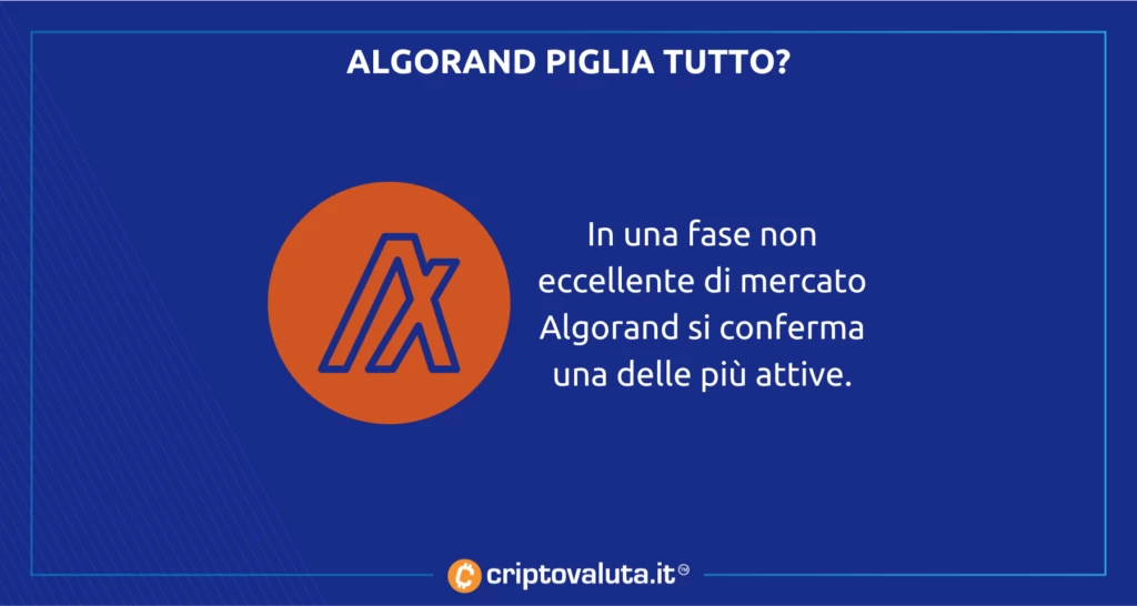 Algorand attacca il mondo