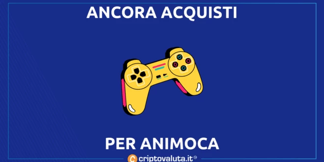 ANIMOCA ACQUISTI