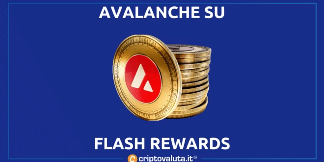Flash Rewards Avalanche