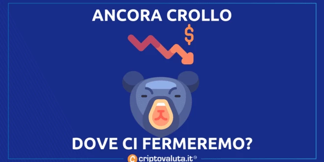 Bear market cripto