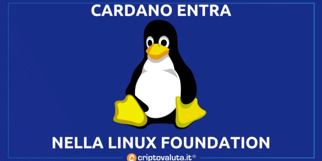 CARDANO LINUX FOUNDATION