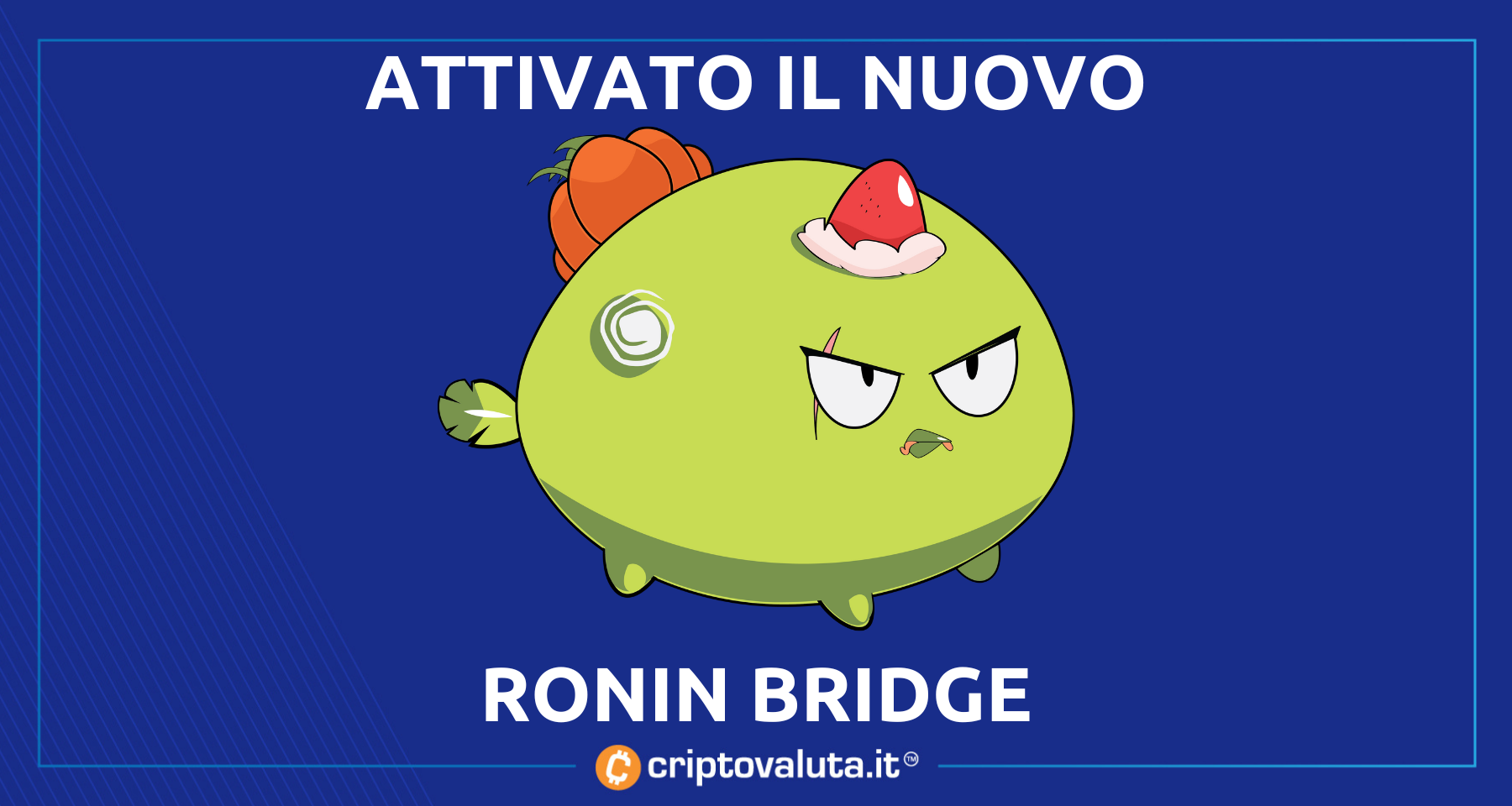 Ronin Bridge riapre con diverse novità! | Ottimo segnale per Axie Infinity $AXS
