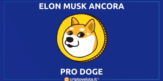ELON MUSK DOGE