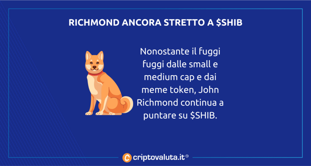 ¿Estará Shib en hoteles de lujo? ¿Qué hay detrás?