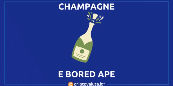 CHAMPAGNE BAYC