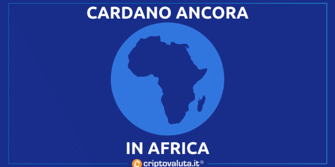 CARDANO AFRICA