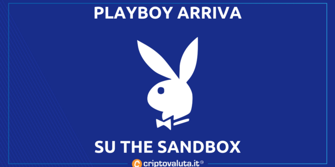 playboy su sandbox