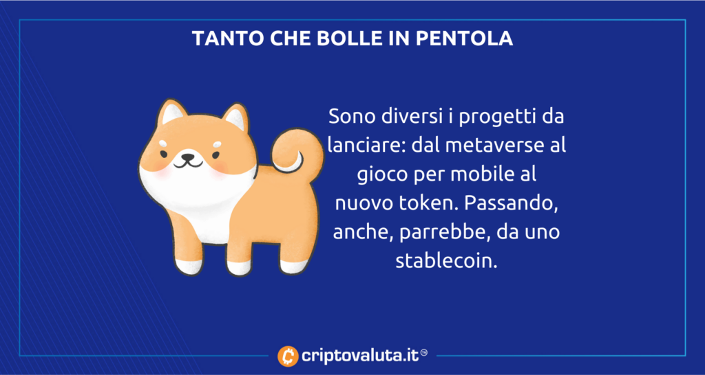 SHIB bolle