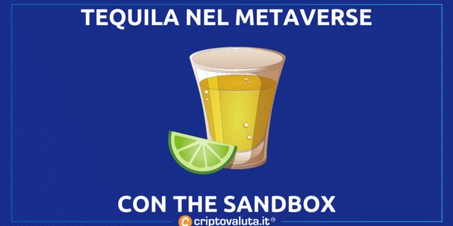 THE SANDBOX TEQUILA