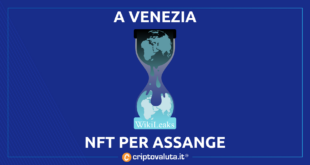 Venezia Assange NFT