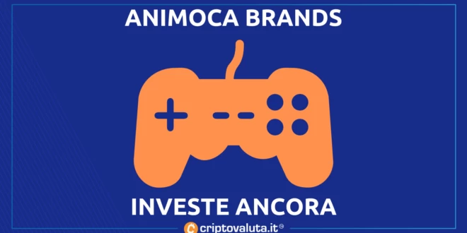 ANIMOCA INVESTIMENTO