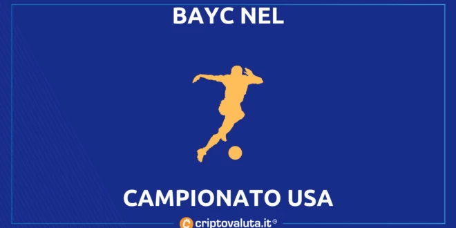 BAYC USA