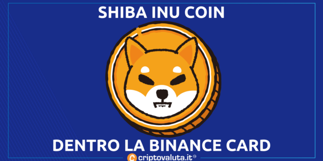 SHIBA INU COIN BINANCE CARD