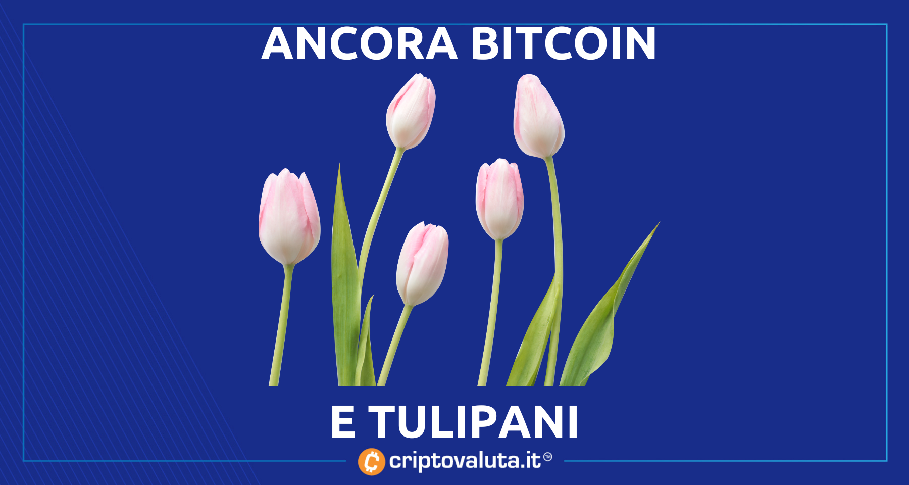Bitcoin non è un tulipano! | La mala- stampa NON può più nuocergli