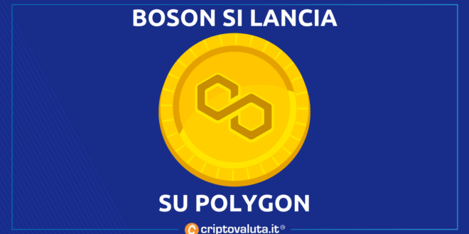 BOSON POLYGON