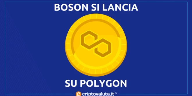 BOSON POLYGON